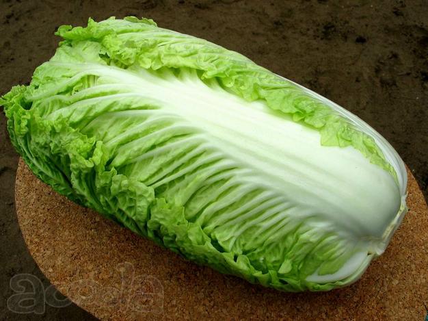 Реализуем пекинскую капусту кубанскую