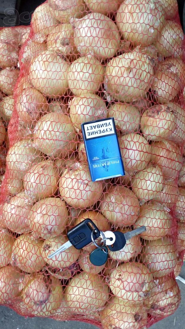 Лук репчатый Манас и Боско