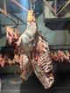Тбилисская бойня
