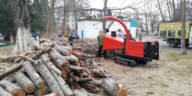 Комплекс услуг по работе с деревьями.